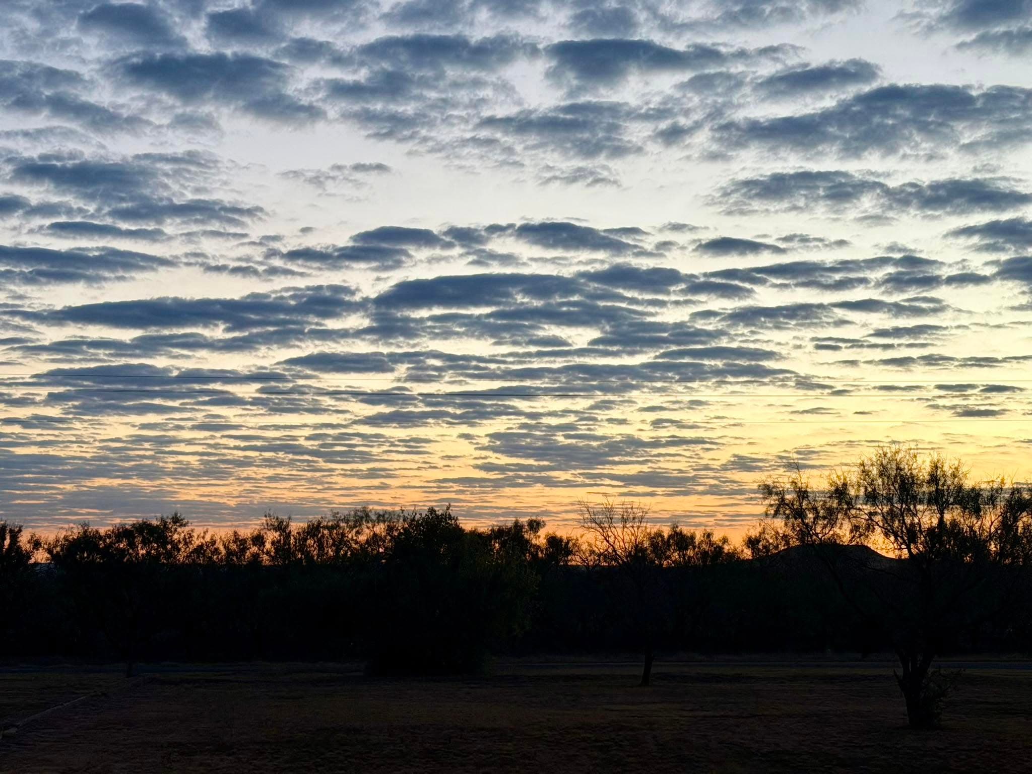 Gail and the West Texas landscape